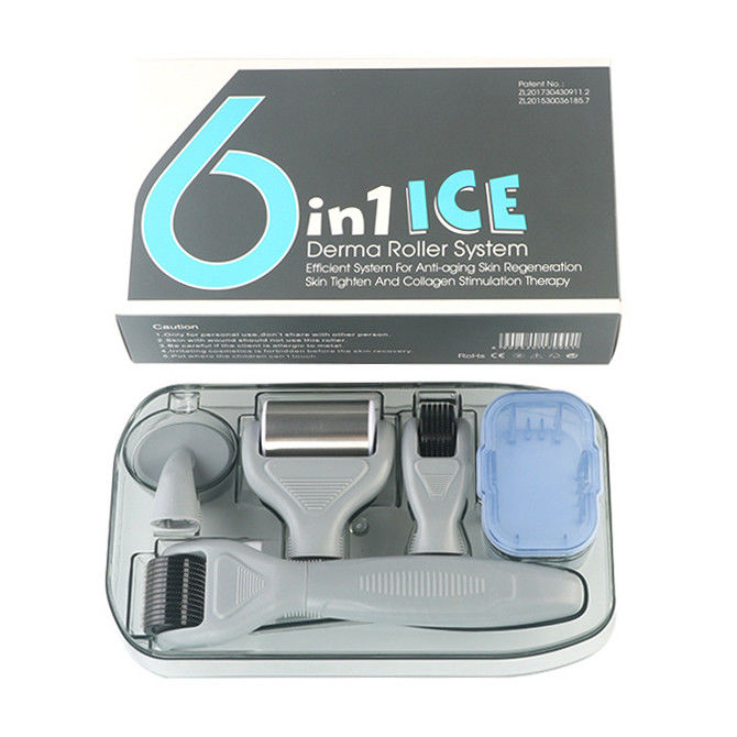 전문 의료 PC 핸들 휴대가 가능한 ICE 데르마 롤러 6 in 1 피부 재생