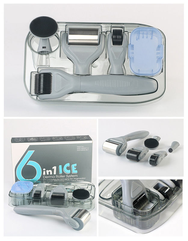 전문 의료 PC 핸들 휴대가 가능한 ICE 데르마 롤러 6 in 1 피부 재생